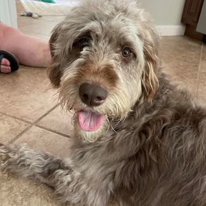 Meet your Posher, Leslie